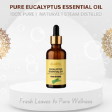 Pure Eucalyptus Oil - 100% Pure, 100% Natural and chemical Free - 30ml