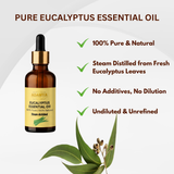 Pure Eucalyptus Oil - 100% Pure, 100% Natural and chemical Free - 30ml
