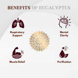 Pure Eucalyptus Oil - 100% Pure, 100% Natural and chemical Free - 30ml
