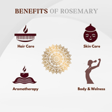 Pure Rosemary Essential Oil - Pure, Natural & Steam Distilled - 30ml