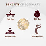 PURE ROSEMARY ESSENTIAL OIL