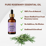 Pure Rosemary Essential Oil - Pure, Natural & Steam Distilled - 30ml